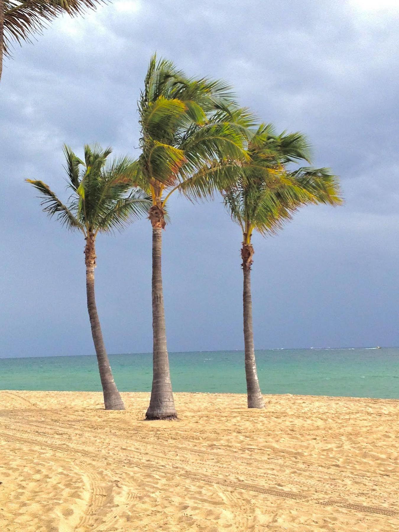 Fortuna Fort Lauderdale Exteriér fotografie